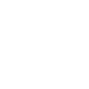brain