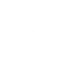 human-brain